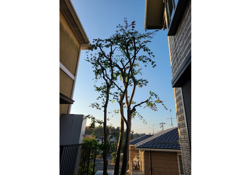 5_8